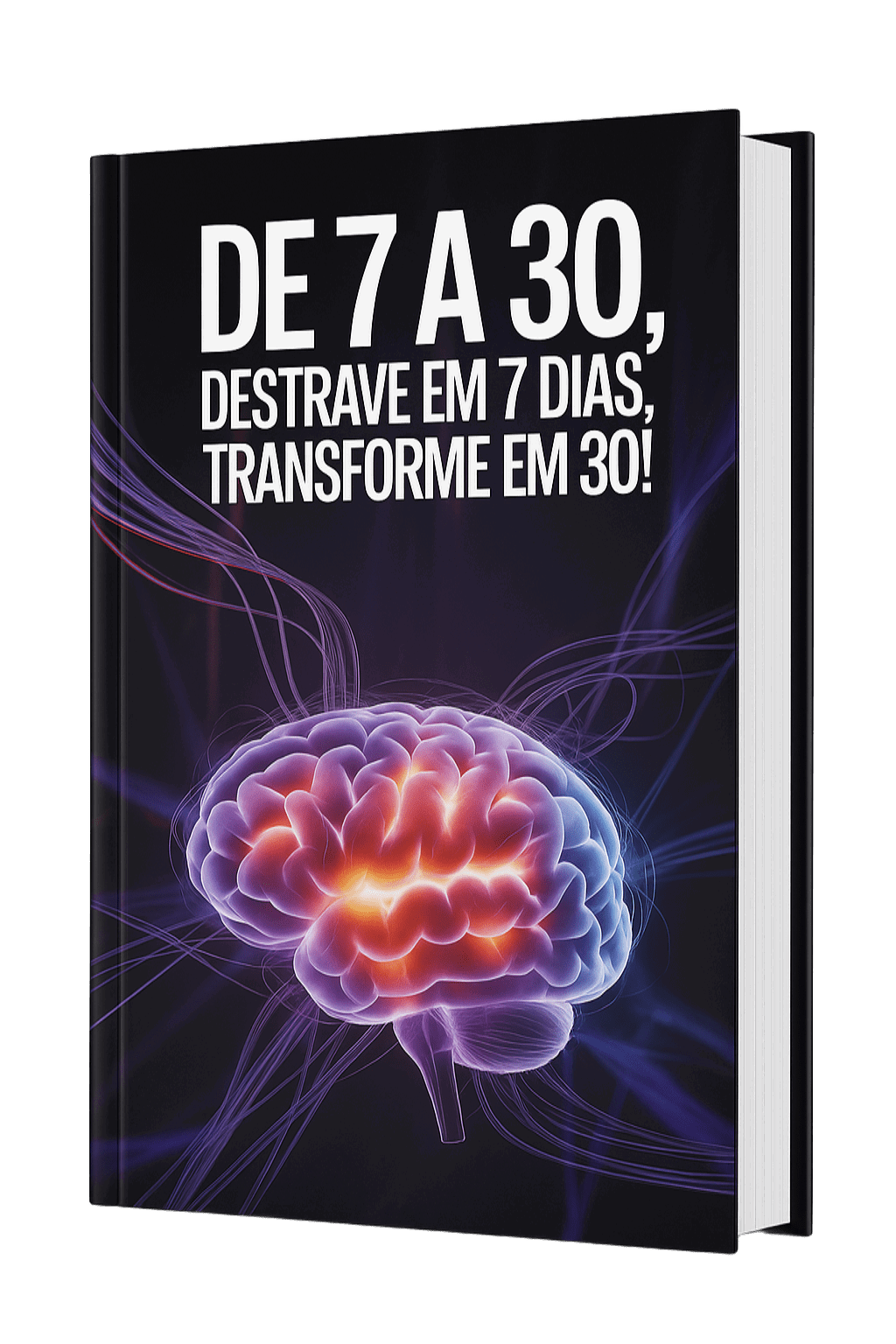 ChatGPT-Image-26-de-set-de-2025-16-26-50-1-.png